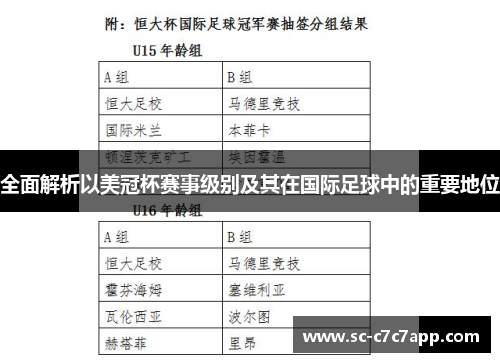 全面解析以美冠杯赛事级别及其在国际足球中的重要地位