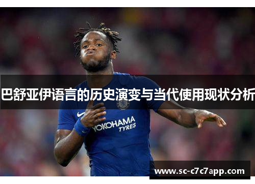 巴舒亚伊语言的历史演变与当代使用现状分析