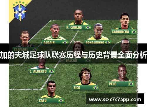 加的夫城足球队联赛历程与历史背景全面分析