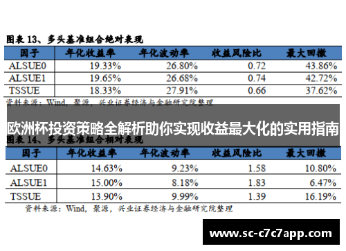 欧洲杯投资策略全解析助你实现收益最大化的实用指南 欧洲杯投资策略全解析助你实现收益最大化的实用指南