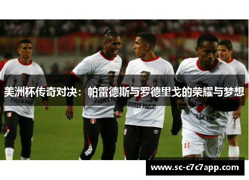 美洲杯传奇对决：帕雷德斯与罗德里戈的荣耀与梦想